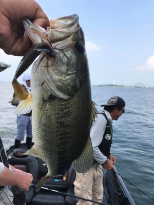 hideup 永野総一朗 ブログ写真 2017/07/07