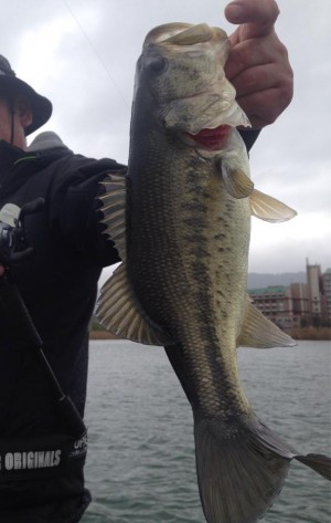 hideup 永野総一朗 ブログ写真 2015/04/07