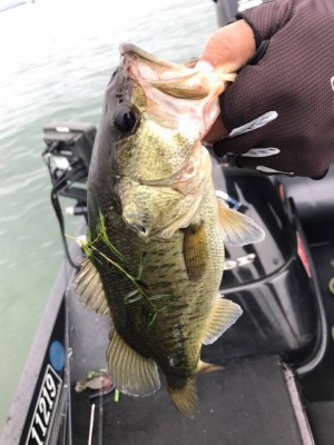 hideup 永野総一朗 ブログ写真 2017/06/25