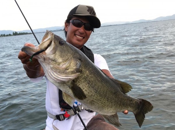 hideup 豌ｸ驥守ｷ丈ｸ譛� 繝悶Ο繧ｰ蜀咏悄 2017/08/07