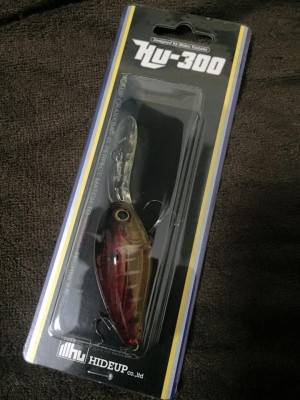 hideup 永野総一朗 ブログ写真 2016/01/21