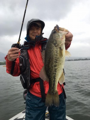 hideup 豌ｸ驥守ｷ丈ｸ譛� 繝悶Ο繧ｰ蜀咏悄 2017/05/17