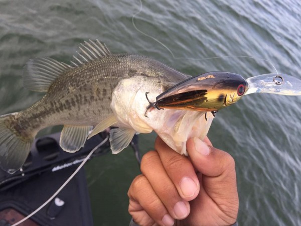 hideup 永野総一朗 ブログ写真 2016/11/11