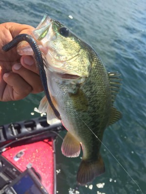 hideup 永野総一朗 ブログ写真 2015/07/16