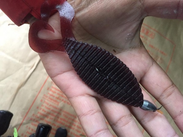 hideup 永野総一朗 ブログ写真 2015/09/17