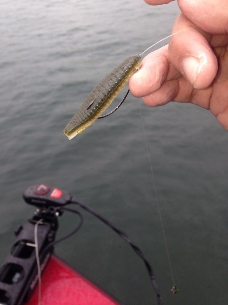 hideup 永野総一朗 ブログ写真 2014/03/26