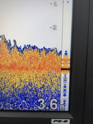 hideup 永野総一朗 ブログ写真 2016/04/23