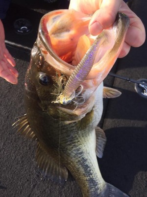 hideup 永野総一朗 ブログ写真 2017/03/16