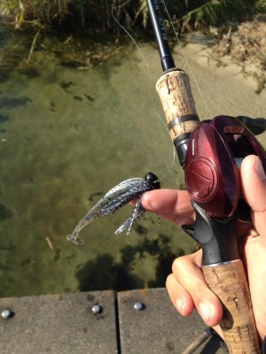 hideup 永野総一朗 ブログ写真 2014/12/10