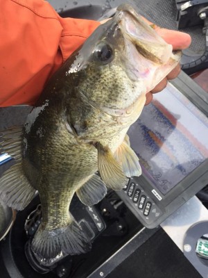 hideup 永野総一朗 ブログ写真 2017/04/01