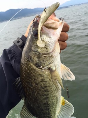 hideup 永野総一朗 ブログ写真 2016/05/01