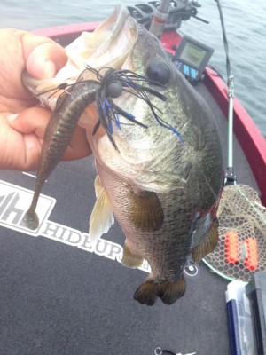 hideup 永野総一朗 ブログ写真 2015/06/19