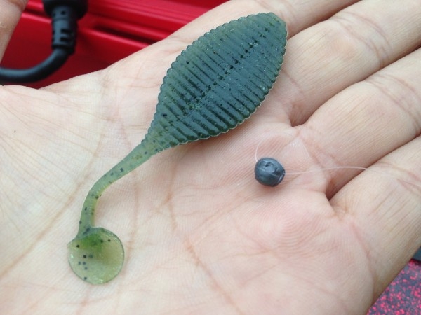 hideup 永野総一朗 ブログ写真 2015/02/07