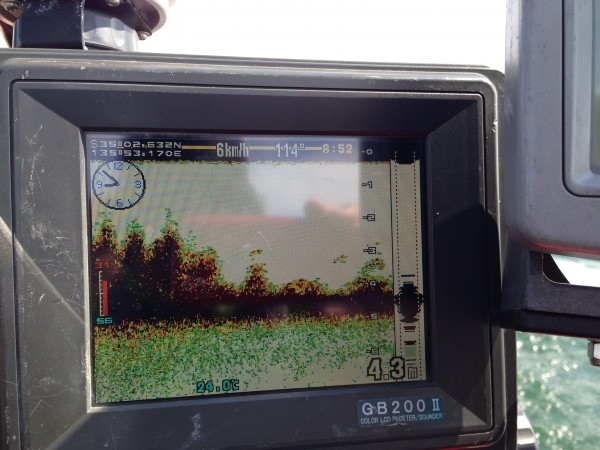 hideup 豌ｸ驥守ｷ丈ｸ譛� 繝悶Ο繧ｰ蜀咏悄 2015/04/12