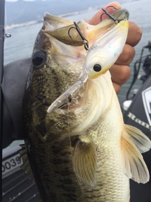 hideup 永野総一朗 ブログ写真 2017/04/17