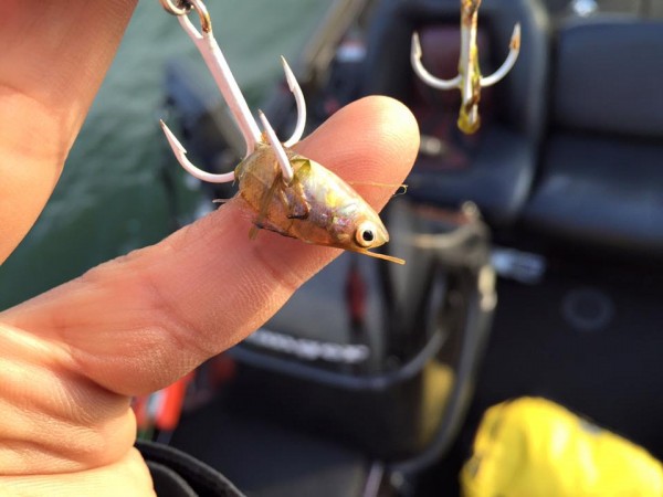 hideup 永野総一朗 ブログ写真 2016/03/22