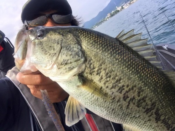 hideup 永野総一朗 ブログ写真 2016/06/14