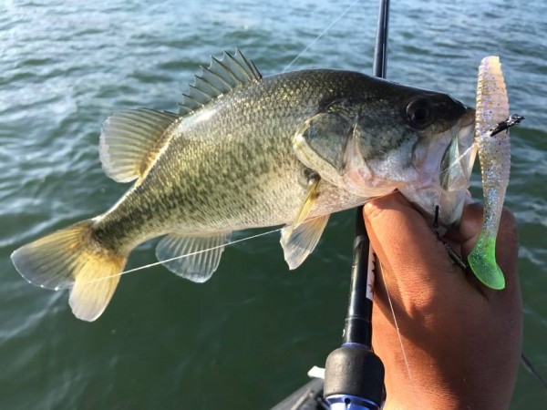 hideup 永野総一朗 ブログ写真 2017/10/09