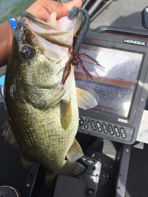 hideup 永野総一朗 ブログ写真 2016/10/08