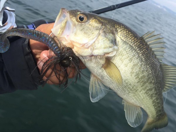 hideup 永野総一朗 ブログ写真 2016/12/01