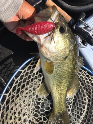 hideup 永野総一朗 ブログ写真 2017/06/14