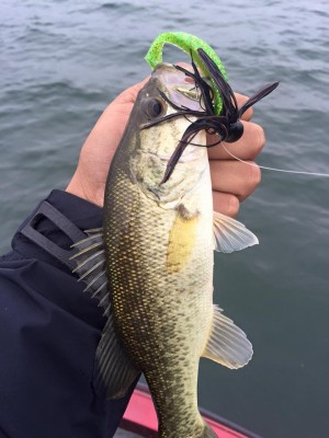 hideup 永野総一朗 ブログ写真 2015/11/23