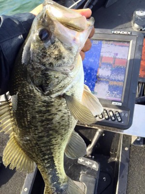 hideup 永野総一朗 ブログ写真 2016/04/05