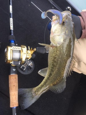 hideup 永野総一朗 ブログ写真 2017/03/26