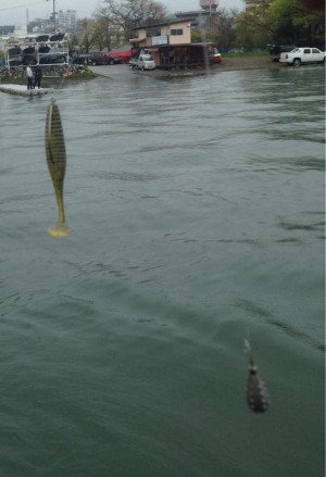 hideup 永野総一朗 ブログ写真 2015/04/29