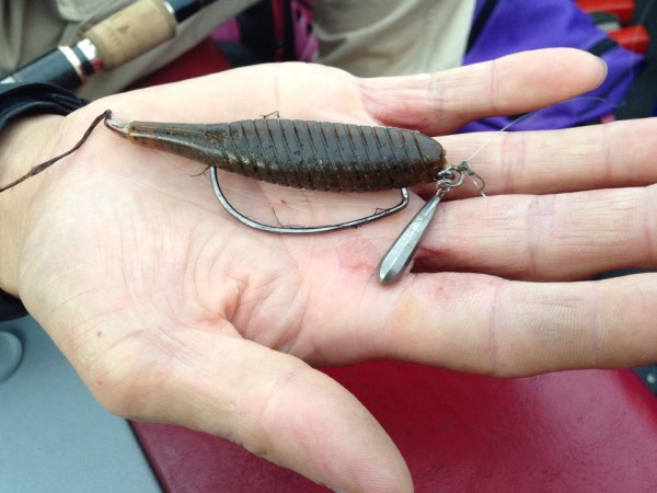 hideup 永野総一朗 ブログ写真 2014/09/19