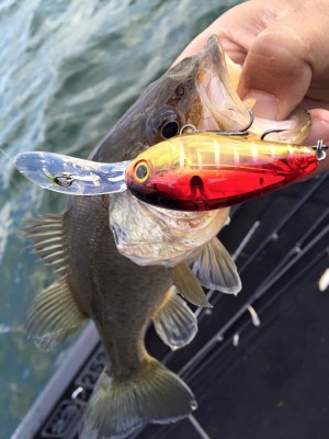 hideup 永野総一朗 ブログ写真 2016/03/20