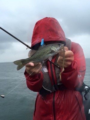 hideup 永野総一朗 ブログ写真 2016/07/26