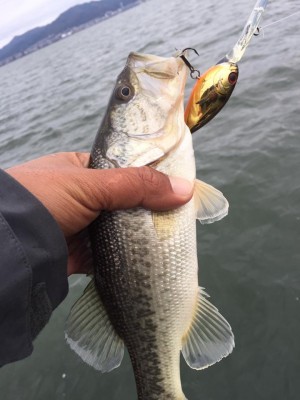 hideup 永野総一朗 ブログ写真 2016/11/11