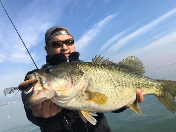 hideup 永野総一朗 ブログ写真 2017/11/02