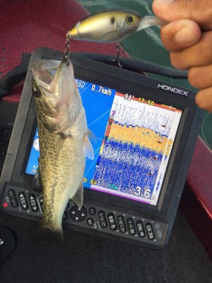 hideup 永野総一朗 ブログ写真 2015/09/13