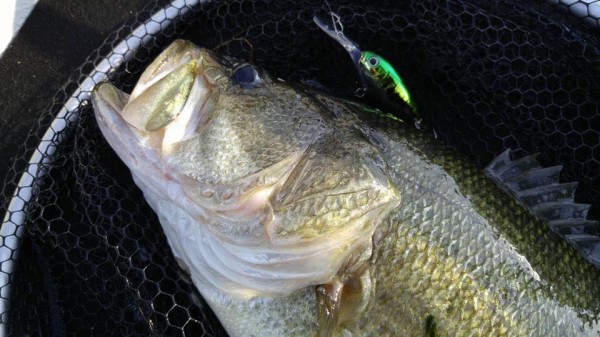 hideup 永野総一朗 ブログ写真 2016/11/17