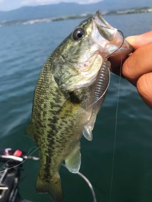 hideup 永野総一朗 ブログ写真 2017/07/21