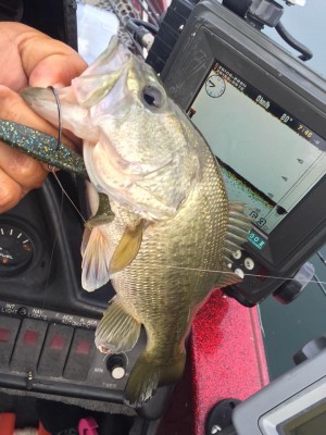 hideup 永野総一朗 ブログ写真 2015/10/20