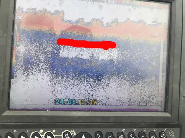 hideup 永野総一朗 ブログ写真 2017/06/22