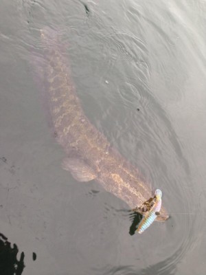 hideup 永野総一朗 ブログ写真 2015/06/03