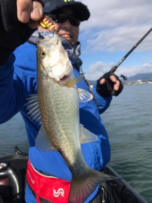 hideup 永野総一朗 ブログ写真 2017/11/21