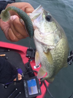 hideup 永野総一朗 ブログ写真 2015/09/25