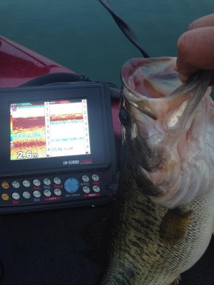 hideup 永野総一朗 ブログ写真 2015/03/21