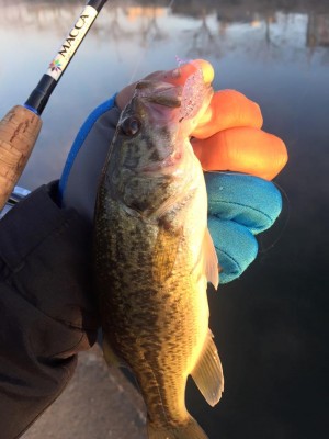 hideup 永野総一朗 ブログ写真 2016/01/18