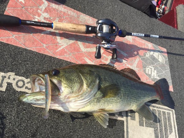 hideup 永野総一朗 ブログ写真 2015/10/23