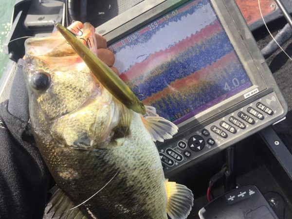 hideup 永野総一朗 ブログ写真 2017/05/03