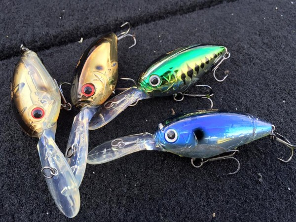 hideup 永野総一朗 ブログ写真 2016/03/14