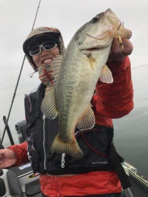 hideup 永野総一朗 ブログ写真 2017/11/18