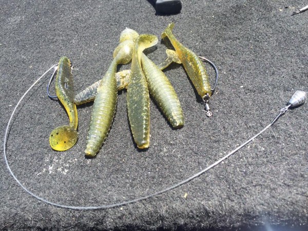 hideup 永野総一朗 ブログ写真 2017/05/03