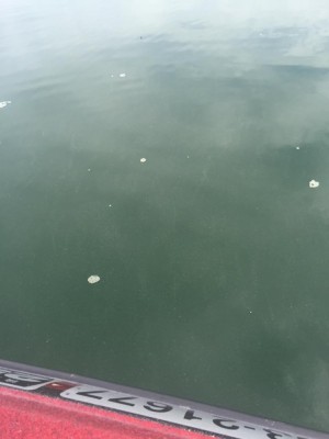 hideup 永野総一朗 ブログ写真 2015/10/15